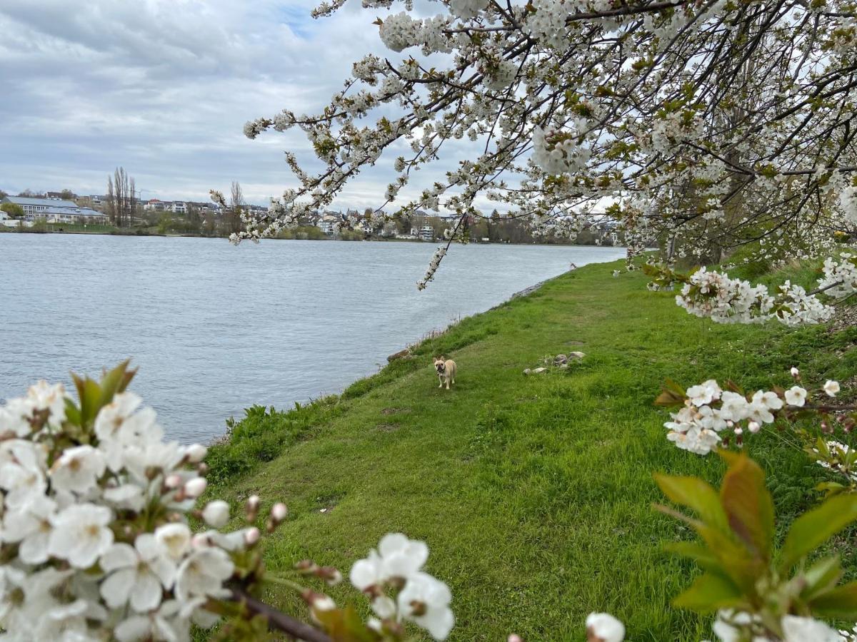 Lieblingsplatz Koblenz Villa Koblenz  Bagian luar foto