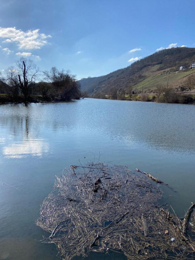 Lieblingsplatz Koblenz Villa Koblenz  Bagian luar foto